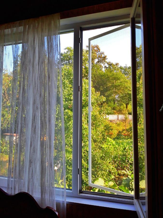 Vaso'S Guesthouse Katskhi Ngoại thất bức ảnh