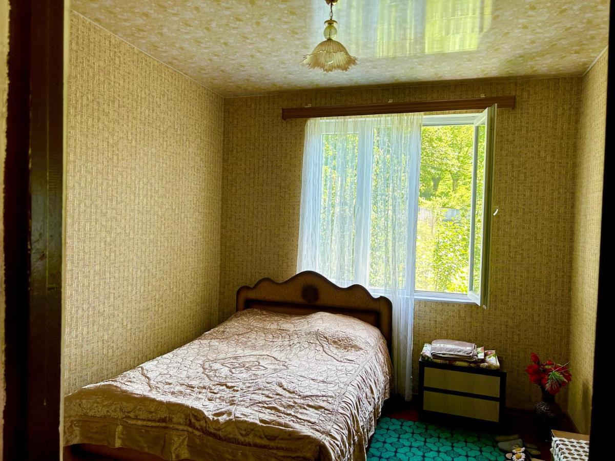 Vaso'S Guesthouse Katskhi Ngoại thất bức ảnh